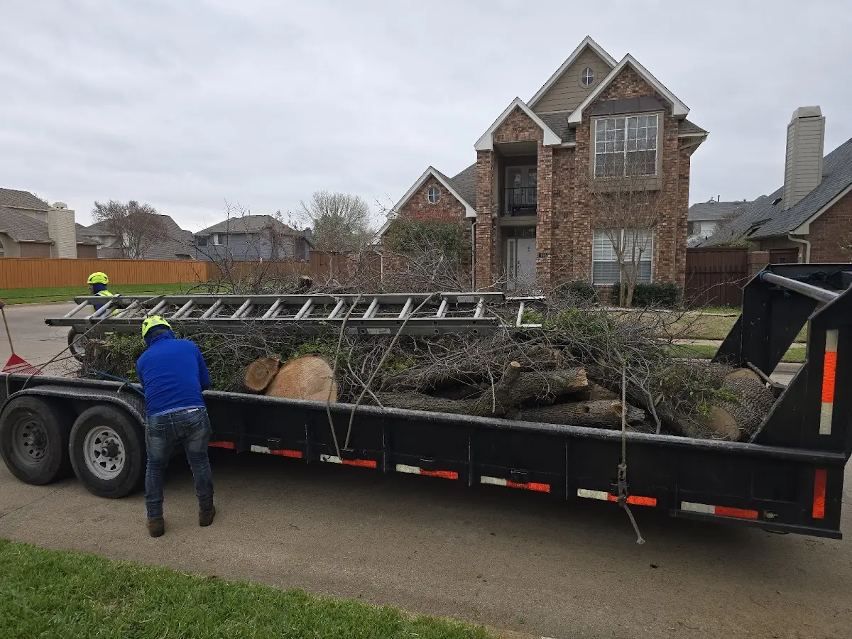 Expert Tree Fertilization with proper safety equipment in Niland
